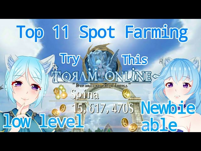 toram online exp farming